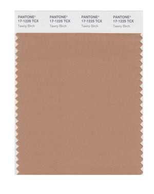 Pantone SMART Color Swatch 17-1225 TCX Tawny Birch