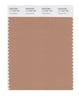 Pantone SMART Color Swatch 17-1225 TCX Tawny Birch