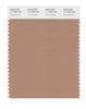 Pantone SMART Color Swatch 17-1226 TCX Tawny Brown