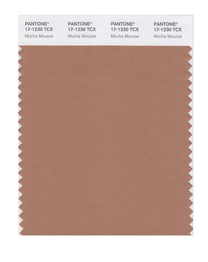 Pantone SMART Color Swatch 17-1230 TCX Mocha Mousse