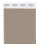 Pantone SMART Color Swatch 17-1312 TCX Silver Mink