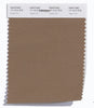 Pantone SMART Color Swatch 17-1314 TCX Sepia Tint