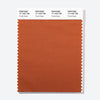 Pantone Polyester Swatch Card 17-1323 TSX Poulet Saute