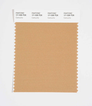 Pantone SMART Color Swatch 17-1325 TCX Cartouche