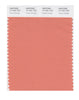 Pantone SMART Color Swatch 17-1341 TCX Tawny Orange