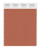 Pantone SMART Color Swatch 17-1347 TCX Autumn Leaf