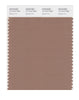 Pantone SMART Color Swatch 17-1417 TCX Beaver Fur