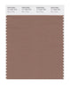 Pantone SMART Color Swatch 17-1422 TCX Raw Umber