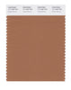 Pantone SMART Color Swatch 17-1430 TCX Pecan Brown