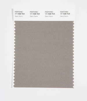 Pantone SMART Color Swatch 17-1508 TCX Silent Storm