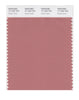 Pantone SMART Color Swatch 17-1524 TCX Desert Sand