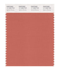 Pantone SMART Color Swatch Card 17-1540 TCX Apricot Brandy