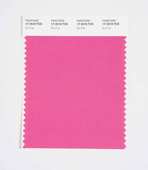 Pantone SMART Color Swatch 17-2519 TCX Gin Fizz
