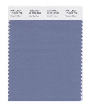 Pantone SMART Color Swatch 17-3918 TCX Country Blue