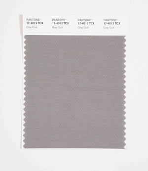 Pantone SMART Color Swatch 17-4013 TCX Gray Quill