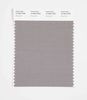 Pantone SMART Color Swatch 17-4013 TCX Gray Quill