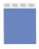 Pantone SMART Color Swatch 17-4030 TCX Silver Lake Blue