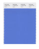 Pantone SMART Color Swatch 17-4041 TCX Marina