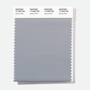 Pantone Polyester Swatch Card 17-4303 TSX Igneous Rock