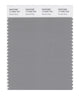 Pantone SMART Color Swatch 17-4402 TCX Neutral Gray
