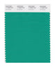 Pantone SMART Color Swatch 17-5638 TCX Vivid Green