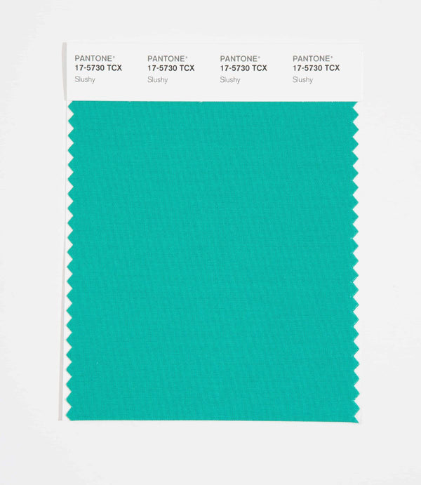 Pantone SMART Color Swatch Card 17-5730 TCX (Slushy)