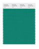 Pantone SMART Color Swatch 17-5734 TCX Viridis