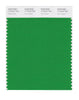 Pantone SMART Color Swatch 17-6153 TCX Fern Green