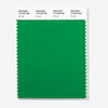 Pantone Polyester Swatch Card 17-6156 TSX Irish Jig