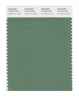Pantone SMART Color Swatch 17-6219 TCX Deep Grass Green