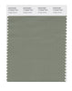 Pantone SMART Color Swatch 17-6323 TCX Hedge Green