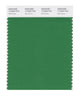 Pantone SMART Color Swatch 17-6333 TCX Mint Green