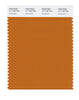 Pantone SMART Color Swatch 17-1140 TCX Marmalade