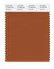Pantone SMART Color Swatch 17-1342 TCX Autumnal