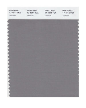 Pantone SMART Color Swatch 17-4014 TCX Titanium