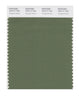 Pantone SMART Color Swatch 18-0117 TCX Vineyard Green