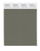Pantone SMART Color Swatch 18-0312 TCX Deep Lichen Green