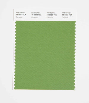 Pantone SMART Color Swatch 18-0323 TCX Campsite