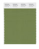 Pantone SMART Color Swatch 18-0332 TCX Grasshopper