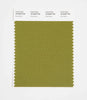 Pantone SMART Color Swatch 18-0428 TCX Peat Moss