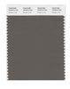 Pantone SMART Color Swatch 18-0513 TCX Bungee Cord