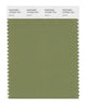 Pantone SMART Color Swatch 18-0525 TCX Iguana