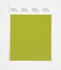 Pantone SMART Color Swatch 18-0540 TCX Lima Bean Green