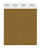 Pantone SMART Color Swatch 18-0937 TCX Bronze Brown