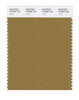Pantone SMART Color Swatch 18-0939 TCX Cumin