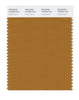 Pantone SMART Color Swatch 18-0950 TCX Cathay Spice