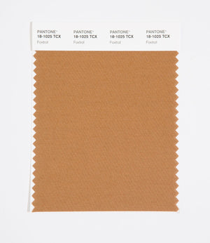 Pantone SMART Color Swatch 18-1025 TCX Foxtrot