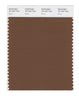 Pantone SMART Color Swatch 18-1027 TCX Bison