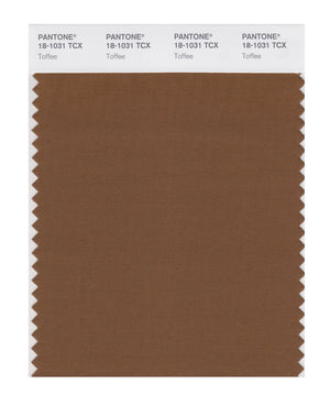 Pantone SMART Color Swatch 18-1031 TCX Toffee