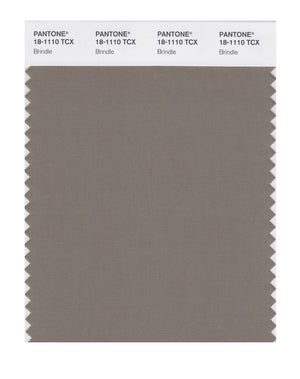 Pantone SMART Color Swatch 18-1110 TCX Brindle